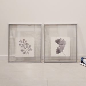Dupla de Quadros - Planta Cinzenta 1 e 2