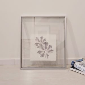 Quadro - Danilo Sbindio - Planta Cinzenta 2