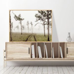 Quadro - Bruno Palaoro - Caminhos Nas Nuvens