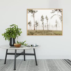 Quadro - Bruno Palaoro - Jovens Nas Nuvens