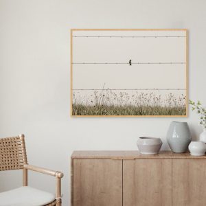 Quadro - Bruno Palaoro - Observador
