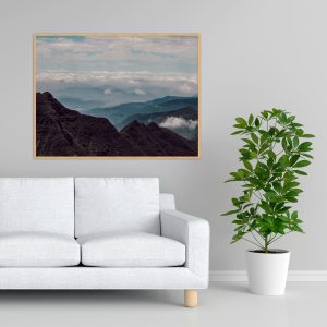 Quadro - Bruno Palaoro - Vista Dos Eucaliptos