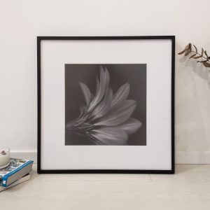 Quadro - Fábio Petry - Jati