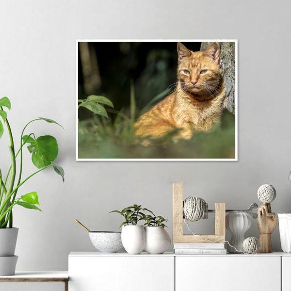 Quadro - WL Photo Art - Cat - Image 3