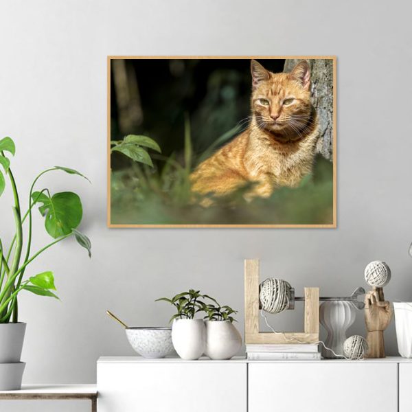 Quadro - WL Photo Art - Cat