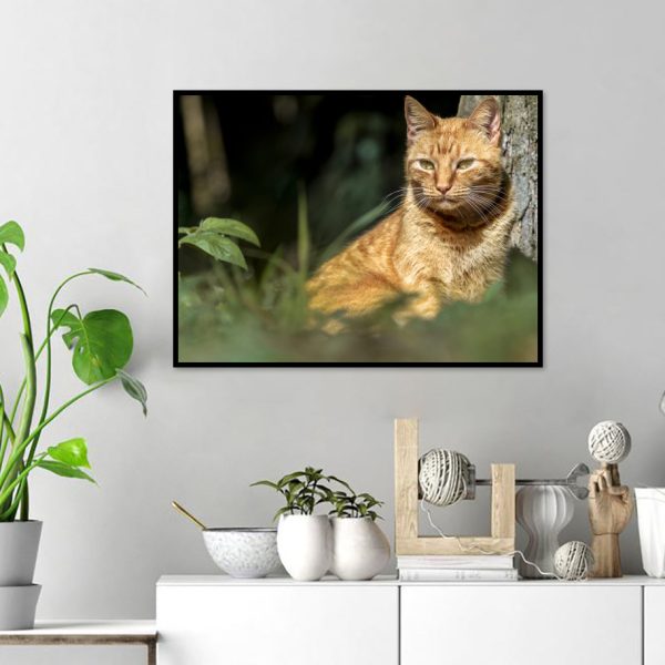 Quadro - WL Photo Art - Cat - Image 4