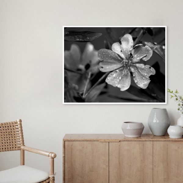 Quadro - WL Photo Art - Flower - Image 3