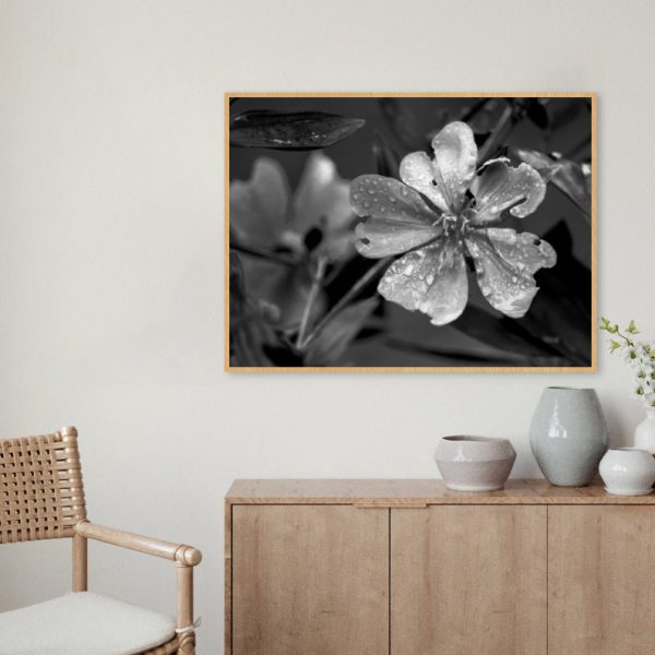 Quadro - WL Photo Art - Flower