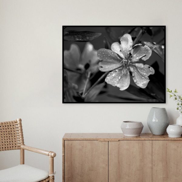 Quadro - WL Photo Art - Flower - Image 4