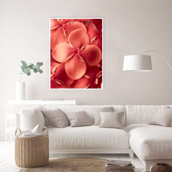 Quadro - WL Photo Art - Ixora 2 - Image 3