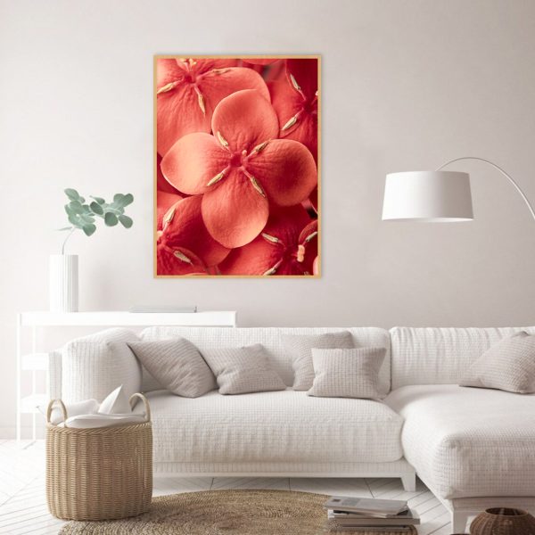 Quadro - WL Photo Art - Ixora 2 - Image 2