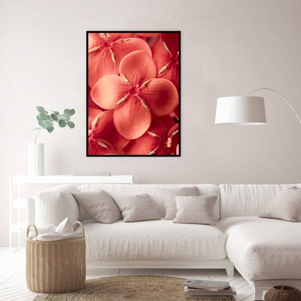 Quadro - WL Photo Art - Ixora 2 - Image 4