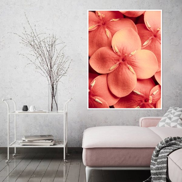 Quadro - WL Photo Art - Ixora