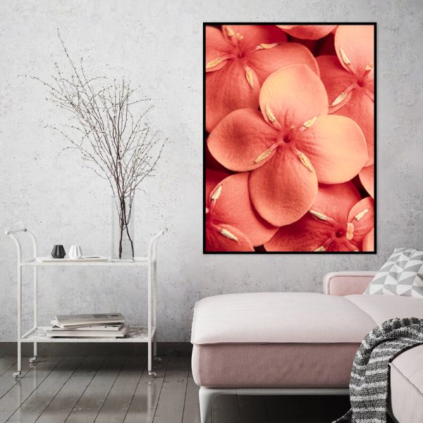 Quadro - WL Photo Art - Ixora - Image 4