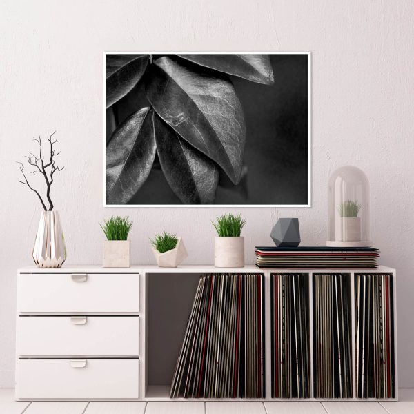 Quadro - WL Photo Art - Leaf - Image 3