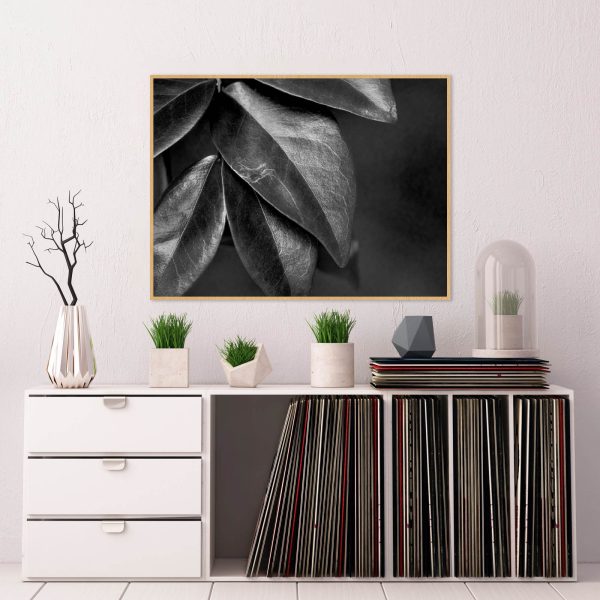 Quadro - WL Photo Art - Leaf