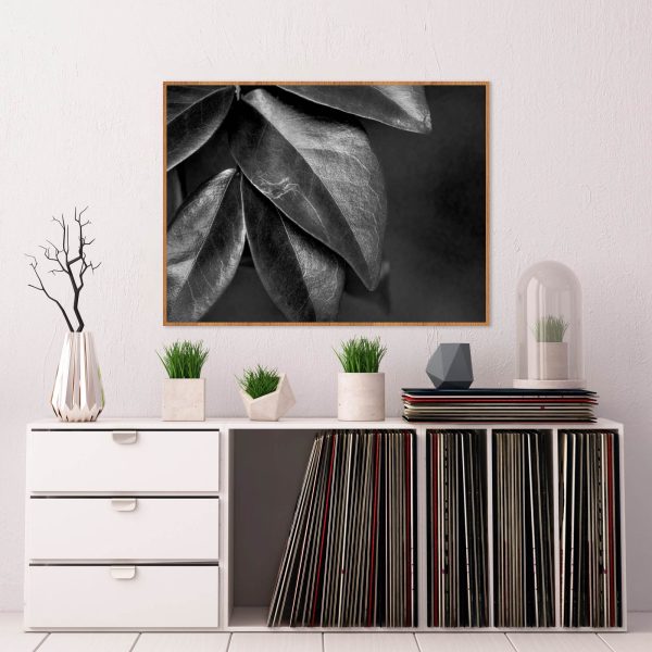 Quadro - WL Photo Art - Leaf - Image 2