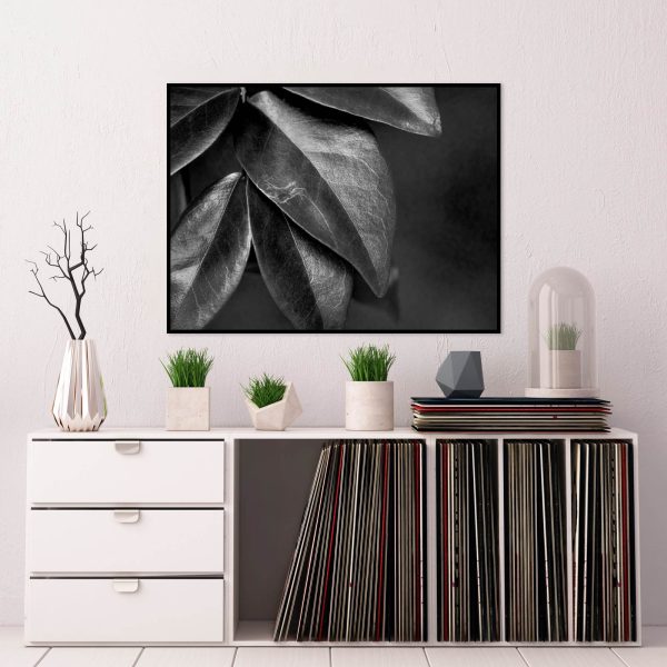 Quadro - WL Photo Art - Leaf - Image 4