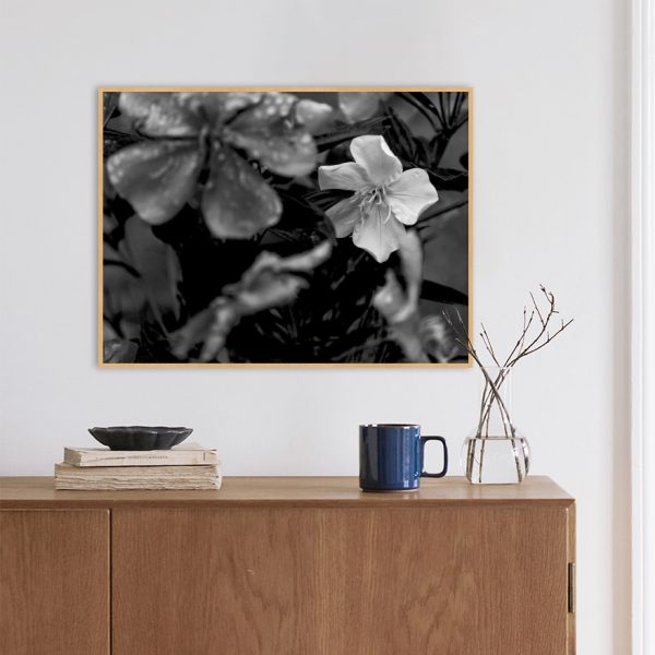 Quadro - WL Photo Art - White Flower