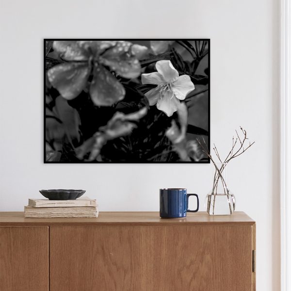 Quadro - WL Photo Art - White Flower - Image 4