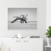 Quadro - Cristiano Heredia - Alien - Imagem 3