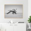 Quadro - Cristiano Heredia - Alien