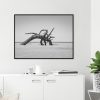 Quadro - Cristiano Heredia - Alien - Imagem 4