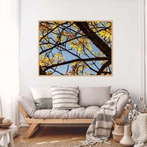 Quadro - Cristiano Heredia - Cintilantes