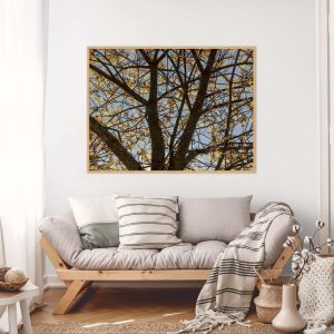Quadro - Cristiano Heredia - Contrastantes