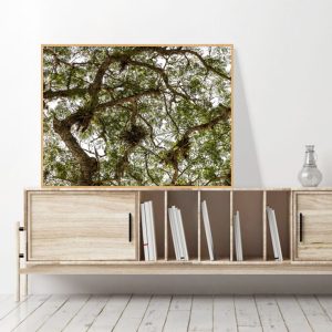 Quadro - Cristiano Heredia - Emaranhado