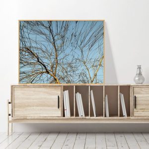 Quadro - Cristiano Heredia - Expansiva I