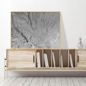 Quadro - Cristiano Heredia - Expansiva II