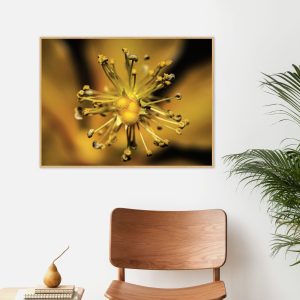 Quadro - Cristiano Heredia - Sol