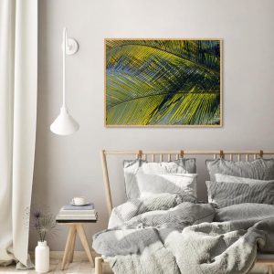 Quadro - Cristiano Heredia - Sombreiros I