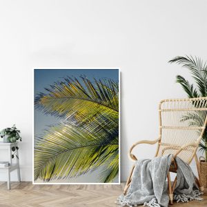 Quadro - Cristiano Heredia - Sombreiros II