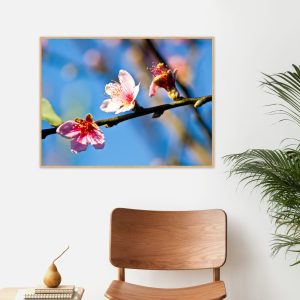 Quadro - Cristiano Heredia - Suavidade II