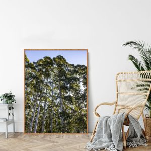 Quadro - Cristiano Heredia - Verticalidade