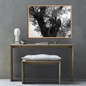 Quadro - Sofia Villela - Árvore