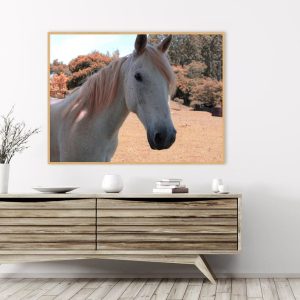 Quadro - Sofia Villela - Cavalo 2