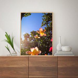 Quadro - Sofia Villela - Flores