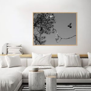 Quadro - Sofia Villela - Pássaro Voando