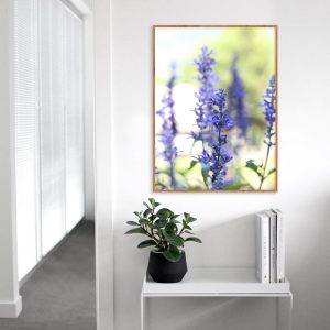 Quadro - Vitória Coutinho - Canteiro De Flores