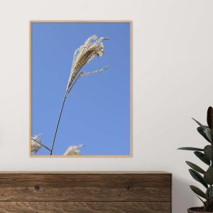 Quadro - Vitória Coutinho - Capim Isolado