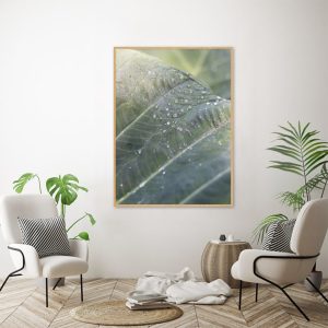 Quadro - Vitória Coutinho - Gotas De Orvalho