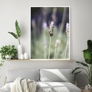 Quadro - Vitória Coutinho - Lavanda E Fundo Verde