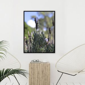 Quadro - Vitória Coutinho - Lavanda