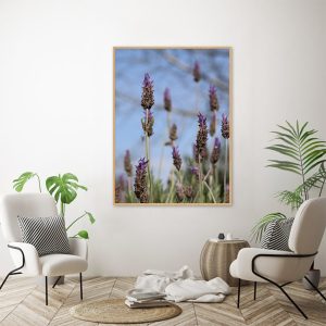 Quadro - Vitória Coutinho - Lavanda No Campo