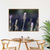 Quadro - Vitória Coutinho - Lavandas E Fundo Escuro - Imagem 2