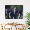 Quadro - Vitória Coutinho - Lavandas E Fundo Escuro - Imagem 4