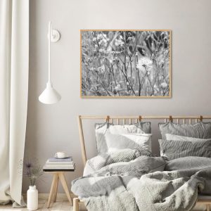 Quadro - Vitória Coutinho - Renascer Pb